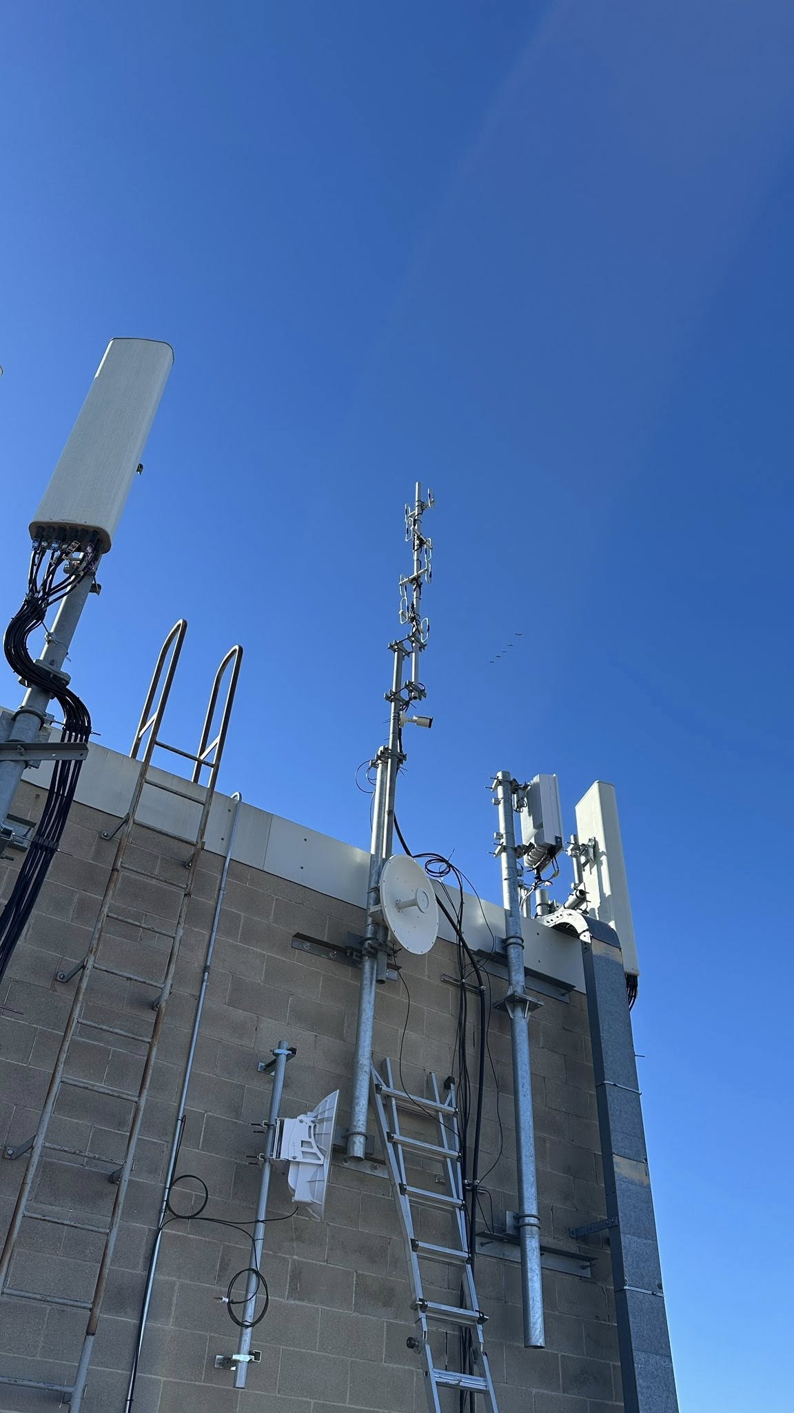 Completed main mast installation